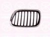 KLOKKERHOLM 0095991 Radiator Grille